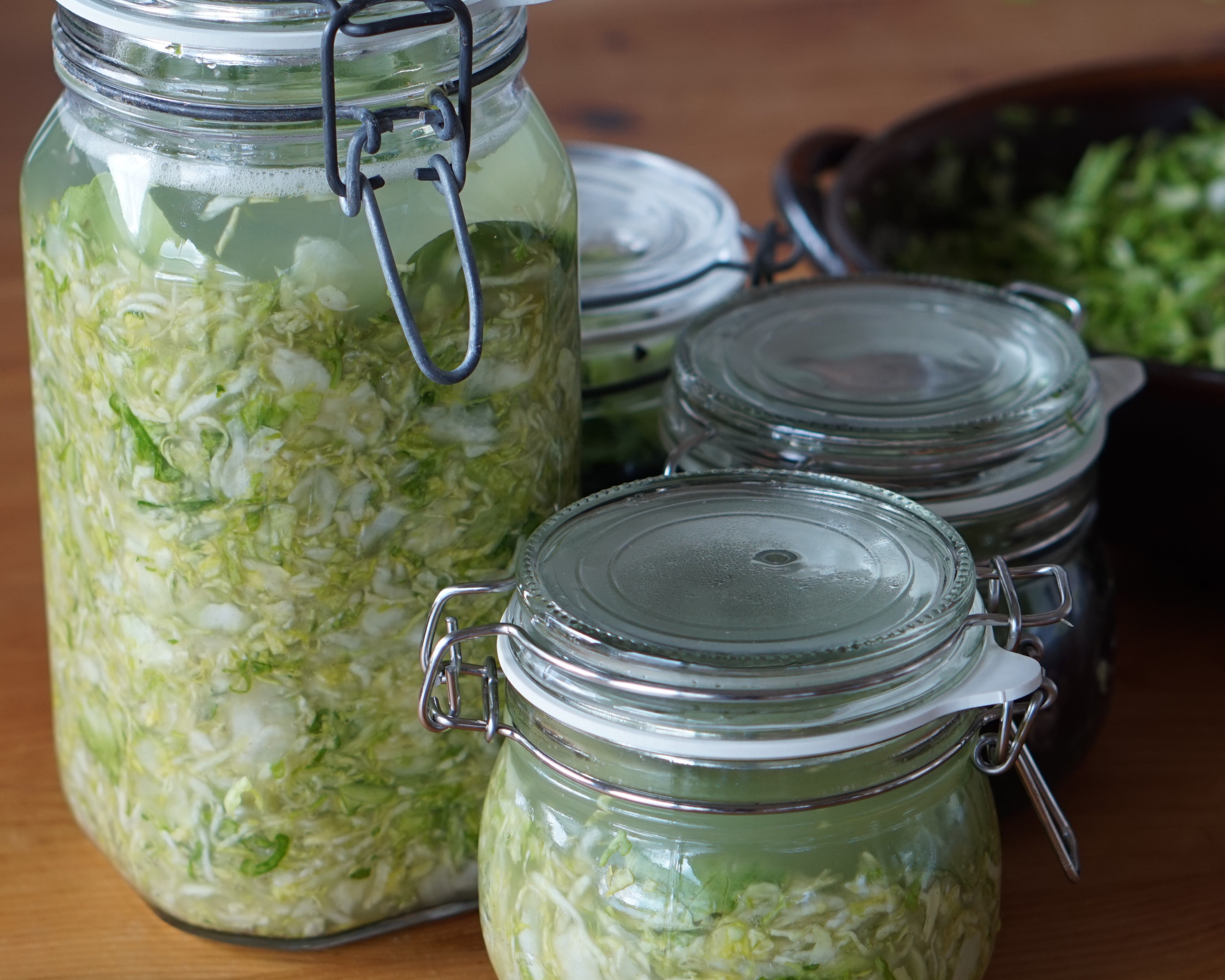 Selbst gemachtes Sauerkraut